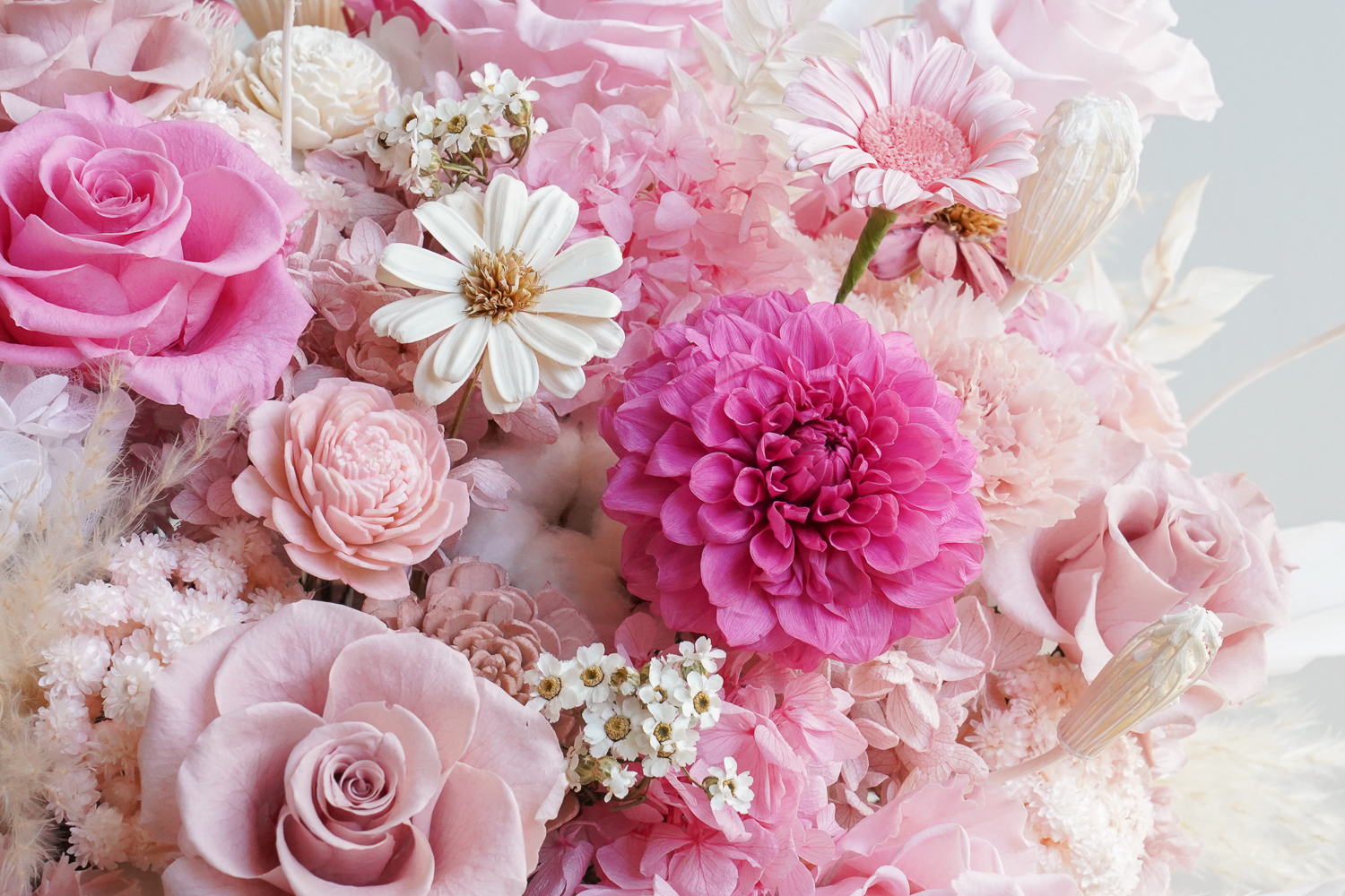 永生花盆花,大型粉色永生花盆,粉色永生花花開富貴,粉色永生花推薦