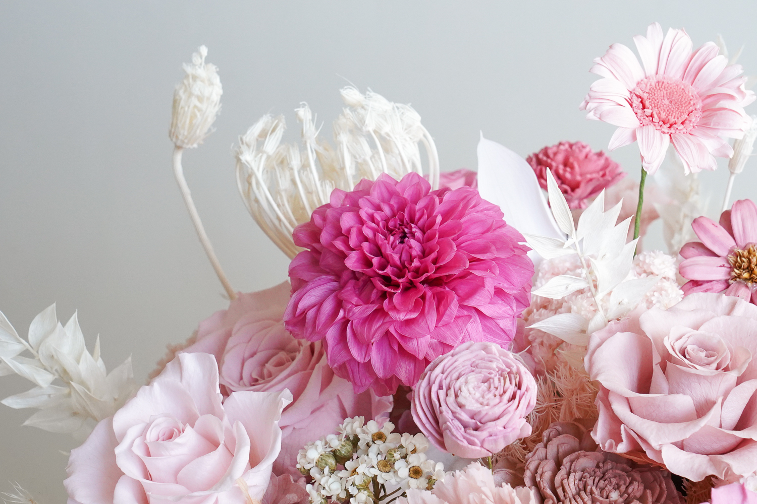 永生花盆花,大型粉色永生花盆,粉色永生花花開富貴,粉色永生花,特寫永生花