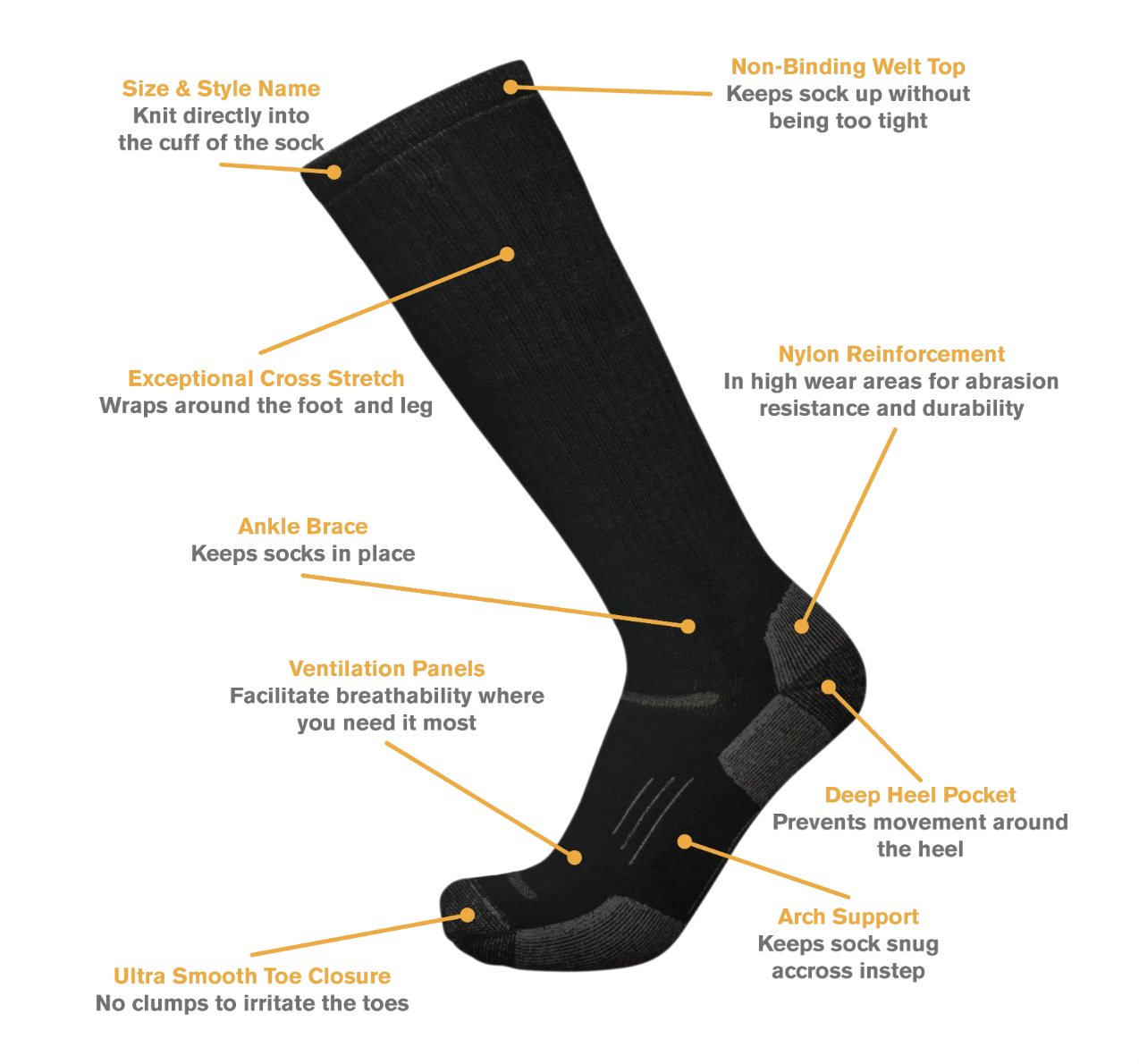 Point6 Moose Tracks Light Over The Calf 美利奴羊毛襪