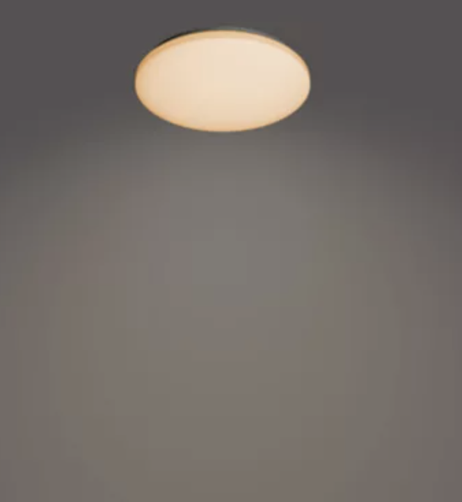 Philips Izso 天花板燈 24W