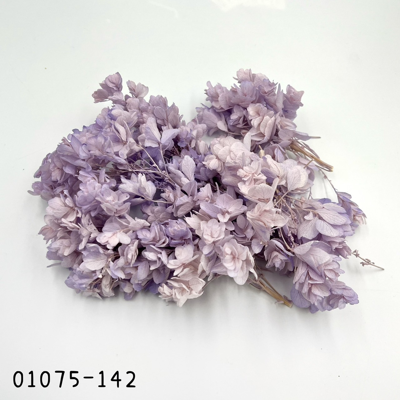 日本不凋重瓣繡球(混色) 01075-142