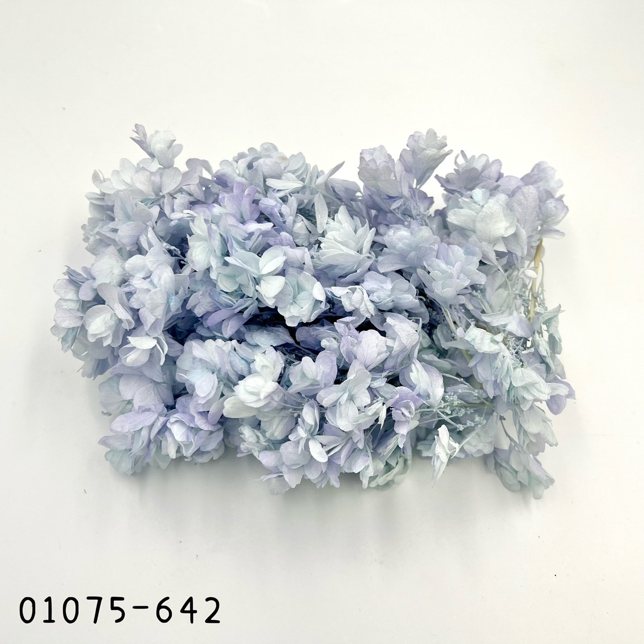 日本不凋重瓣繡球(混色) 01075-642