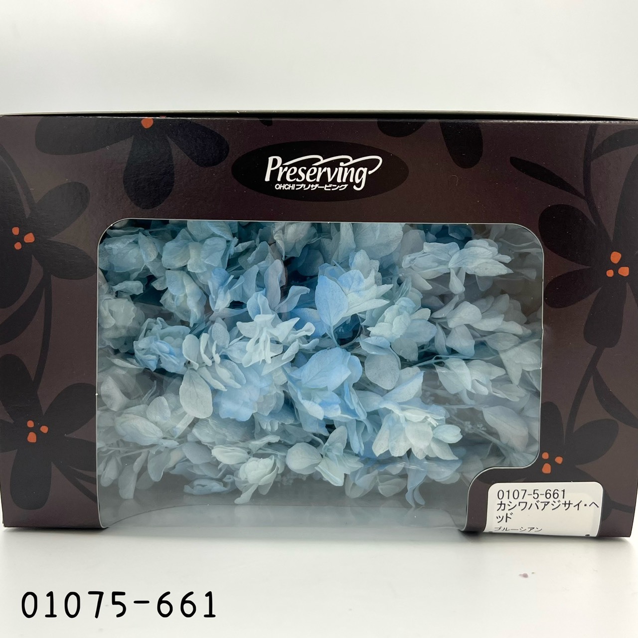 日本不凋重瓣繡球(混色) 01075-661