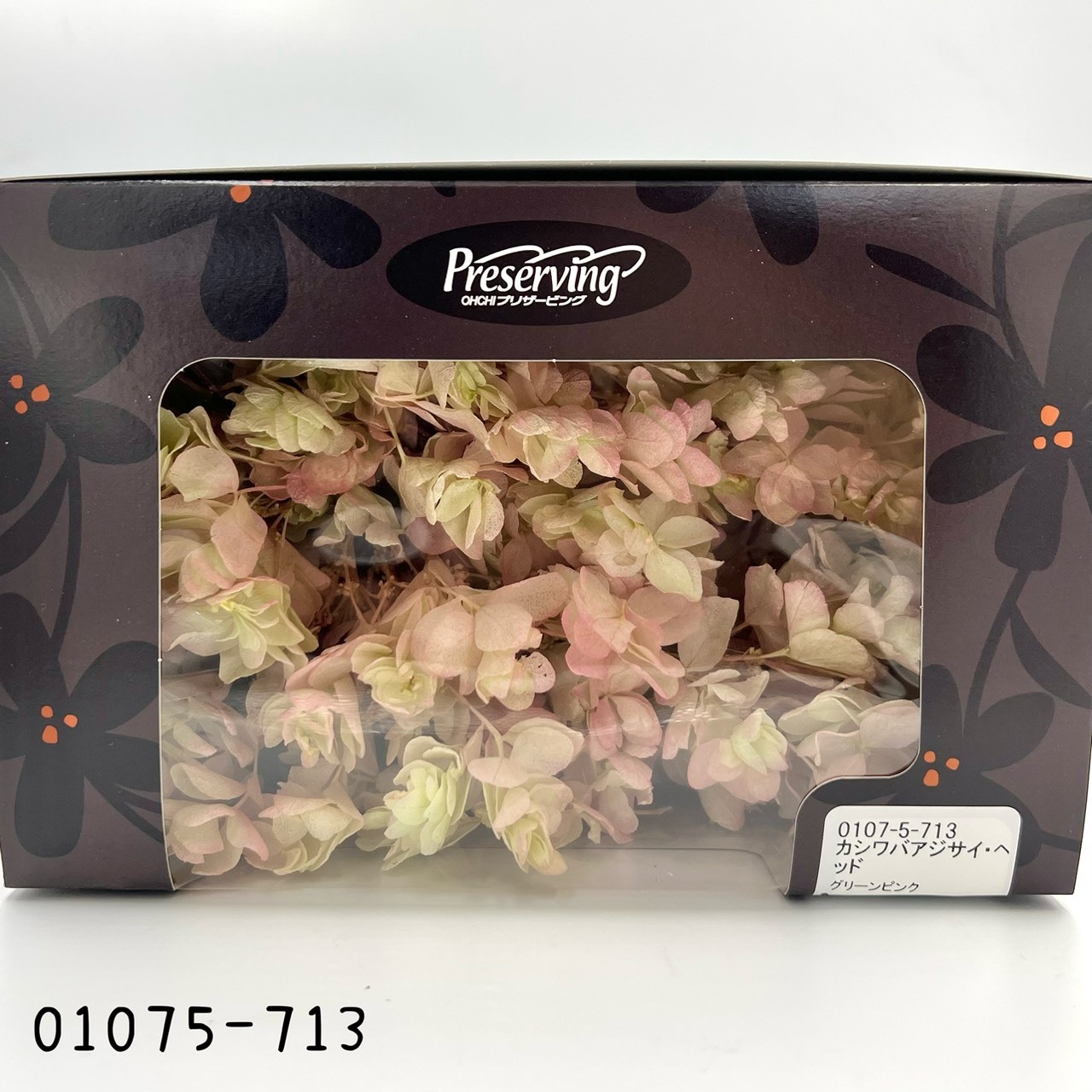 日本不凋重瓣繡球(混色) 01075-713