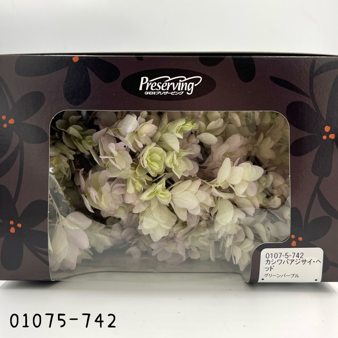 日本不凋重瓣繡球(混色) 01075-742