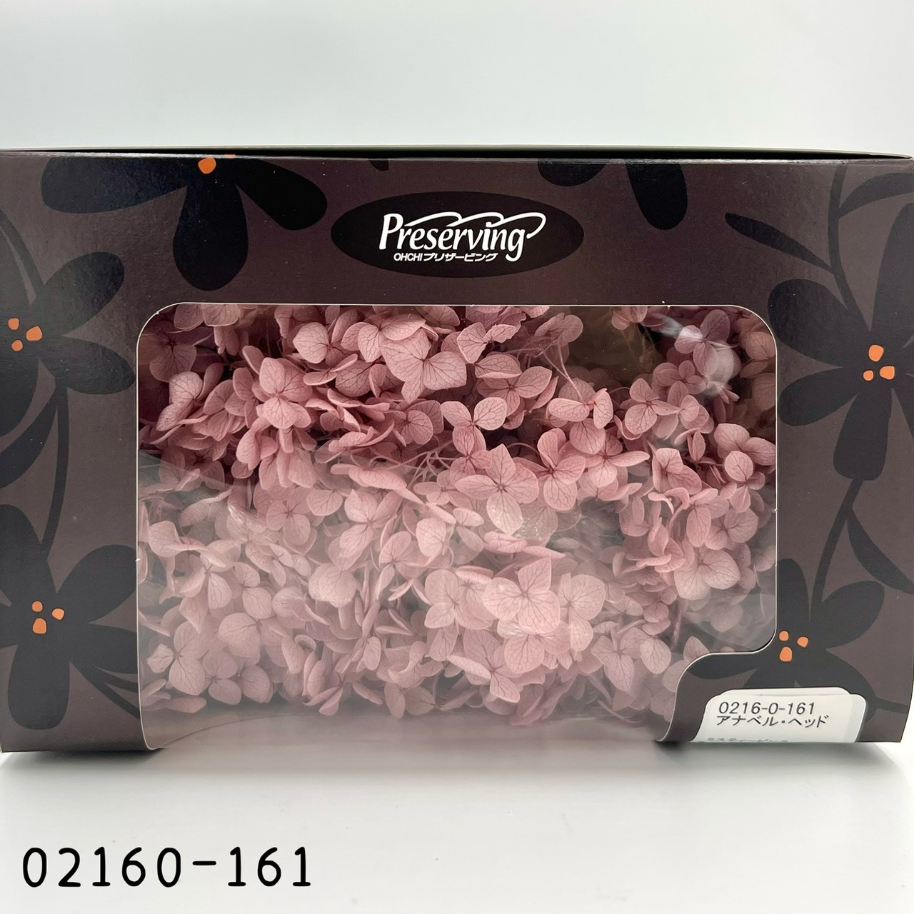 日本不凋安娜繡球 02160-161