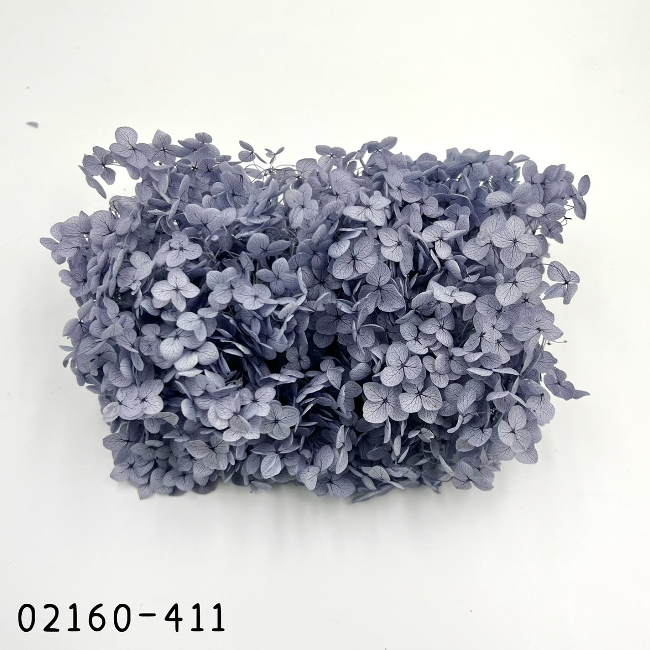 日本不凋安娜繡球 02160-411