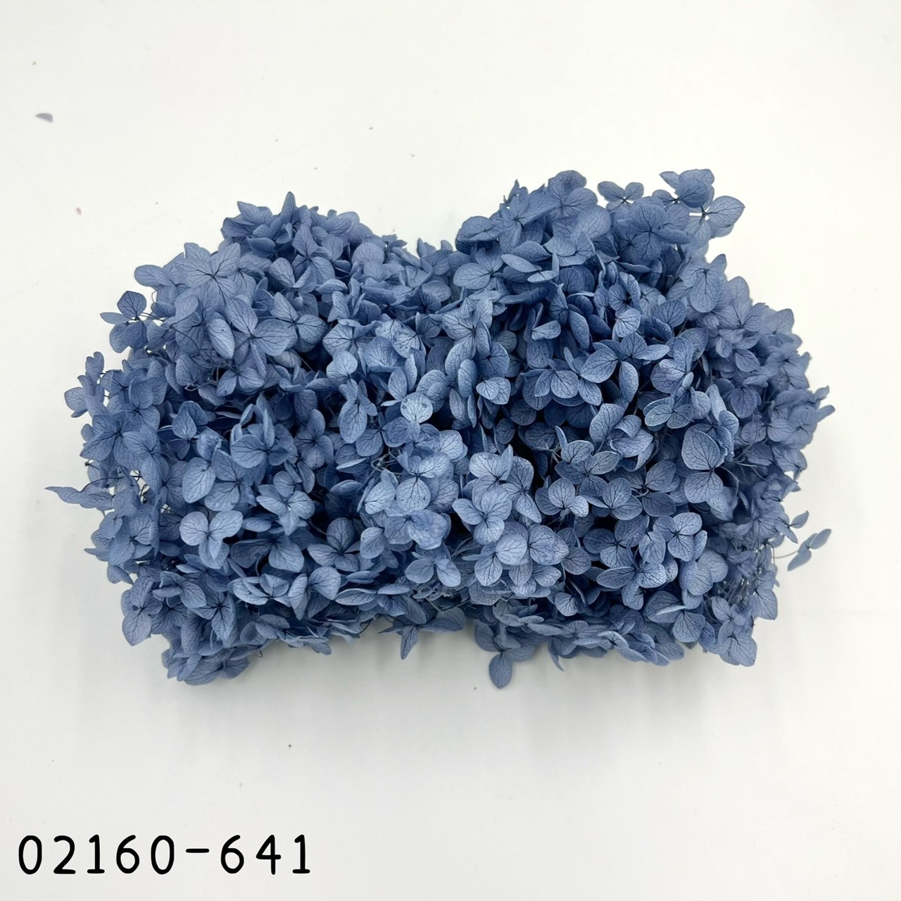 日本不凋安娜繡球 02160-641