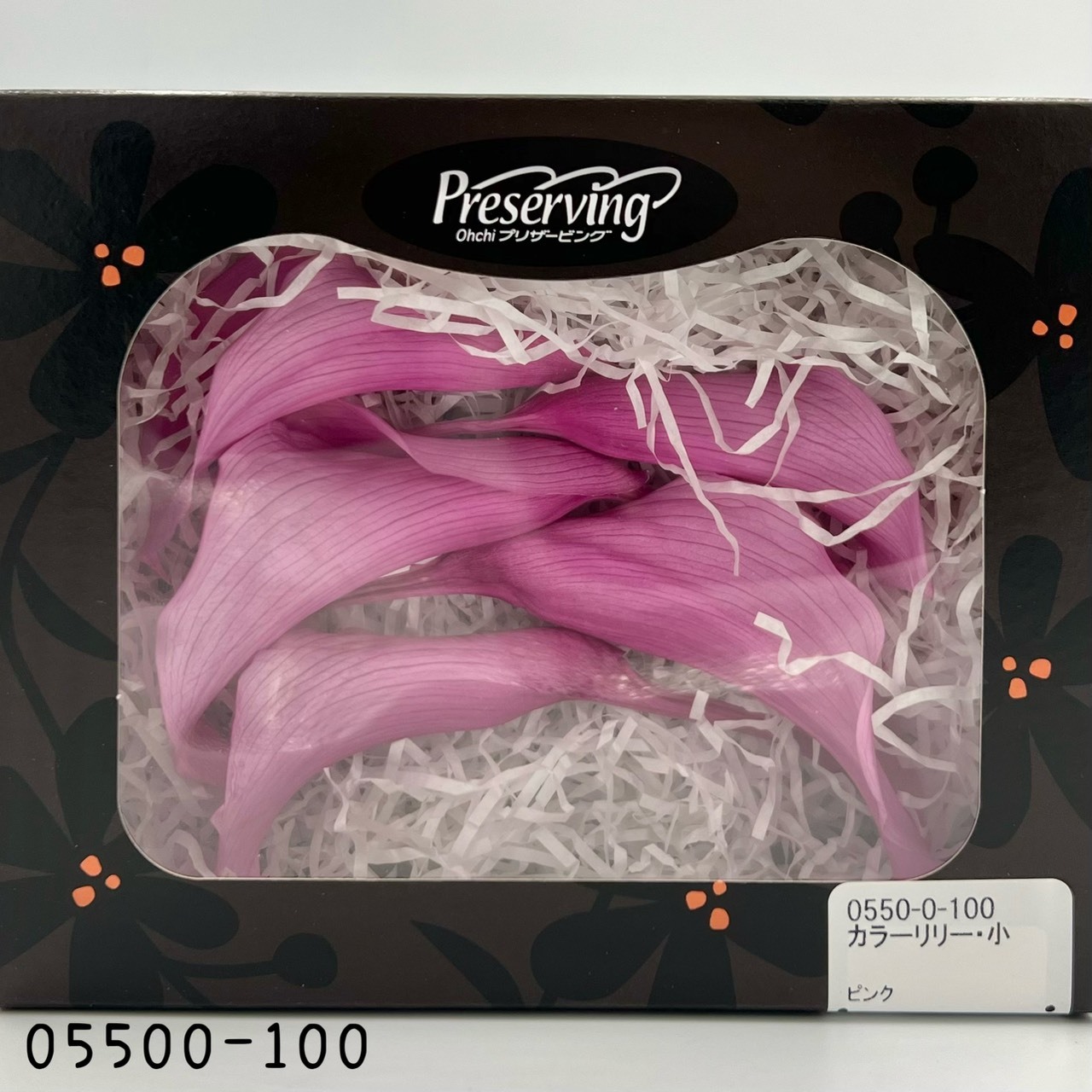 日本不凋海芋 05500-100