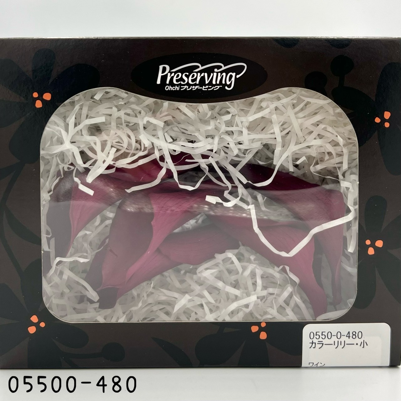 日本不凋海芋 05500-480