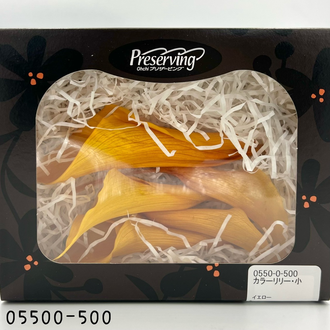 日本不凋海芋 05500-500