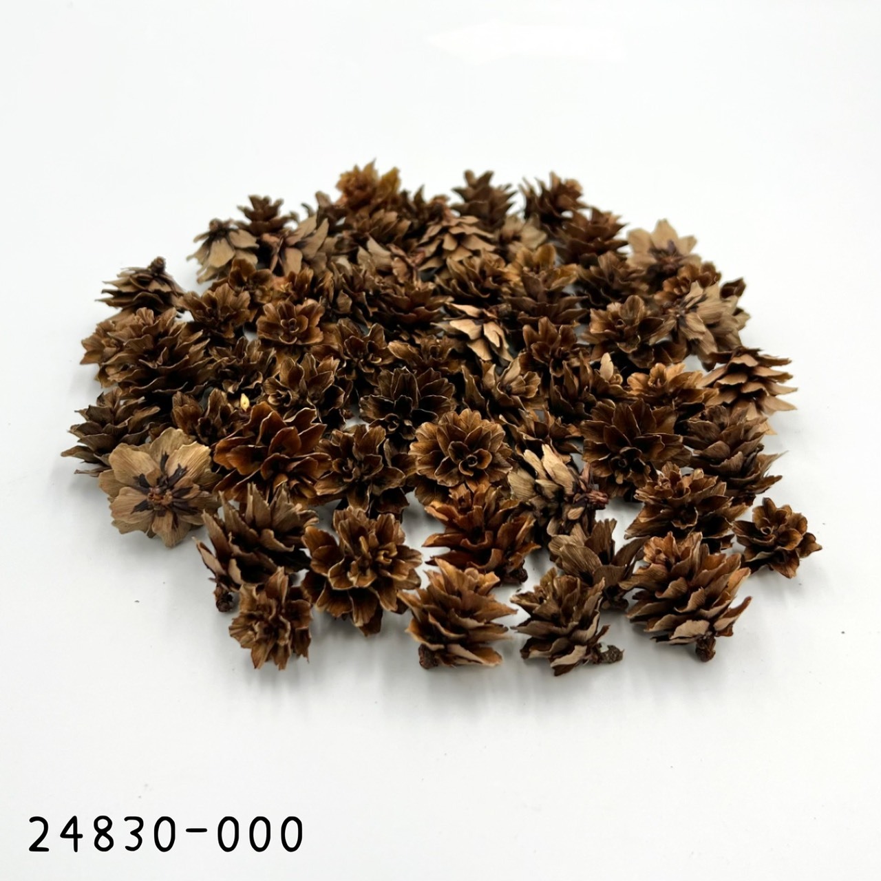 日本乾燥松花24830-000