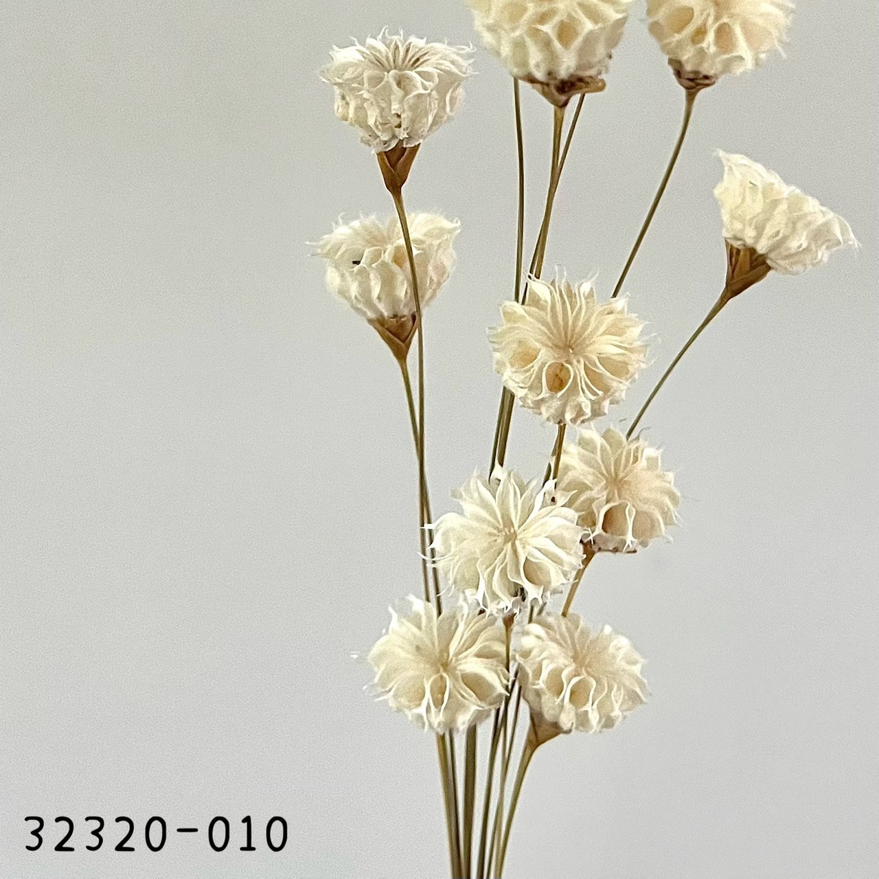 日本手工酒盅花32320-010