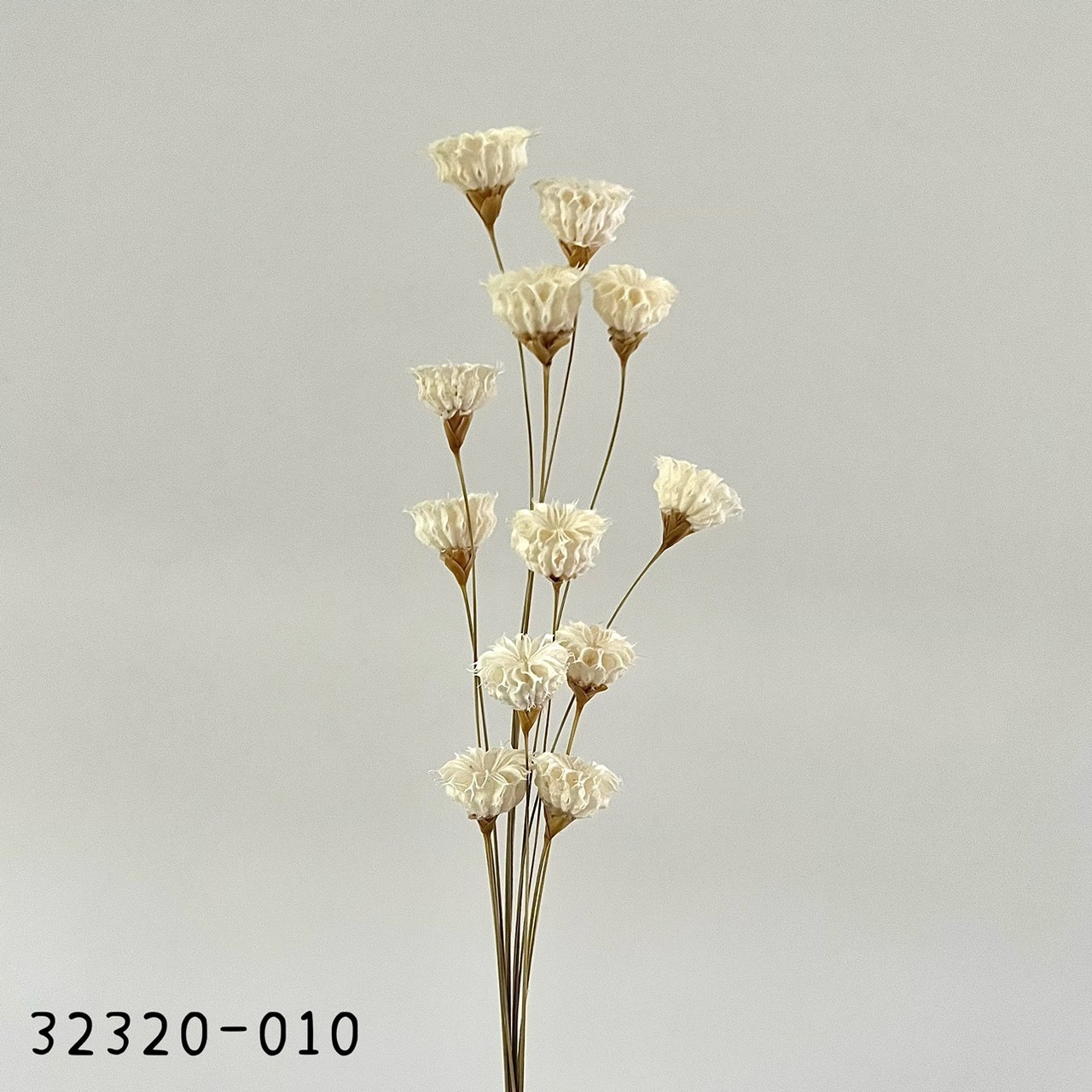 日本手工酒盅花32320-010