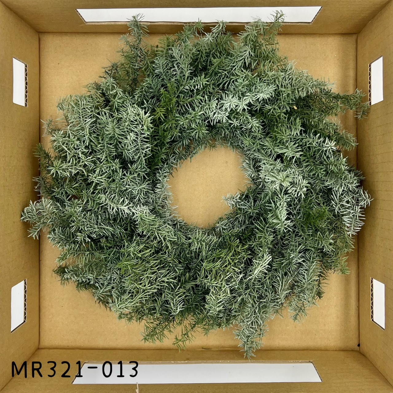 日本不凋雪松花圈(小)MR321-013