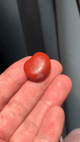 1013718 南紅原籽