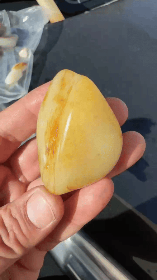 1013725 和田玉原籽