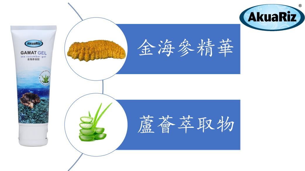 (1873)【組合優惠】Akuariz Gamat Gel  亞古歷金海參凝膠 60g