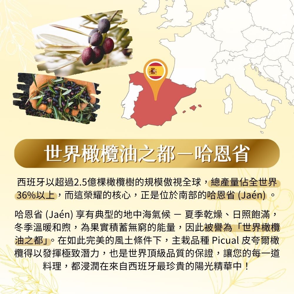 OLEOLUX 西班牙 100% PICUAL 特級初榨冷壓橄欖油 1000ml
