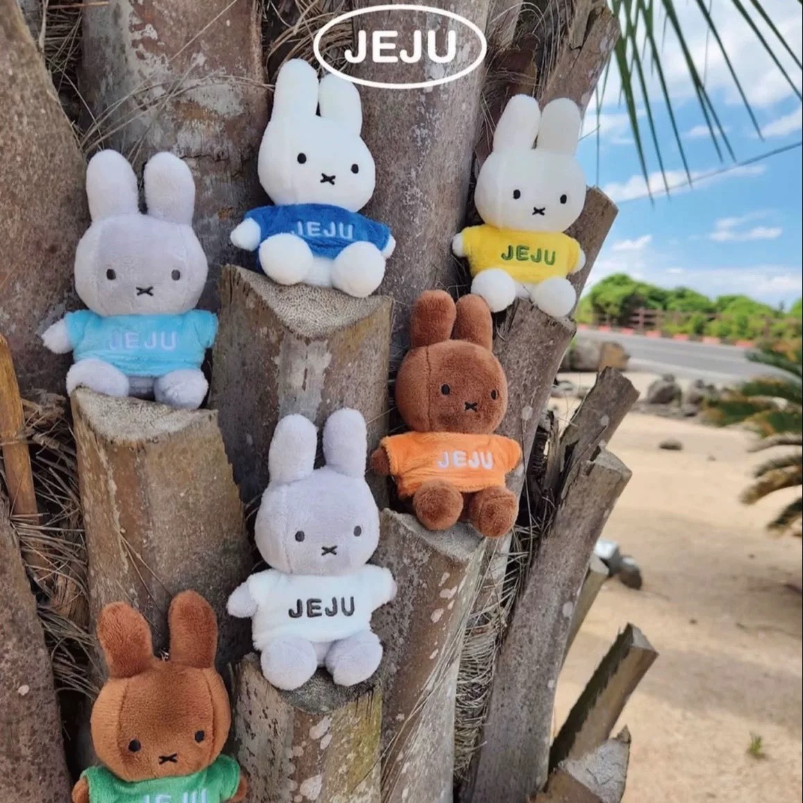 韓國濟州島限定 Miffy 米菲坐姿穿衣服 毛絨吊飾玩偶