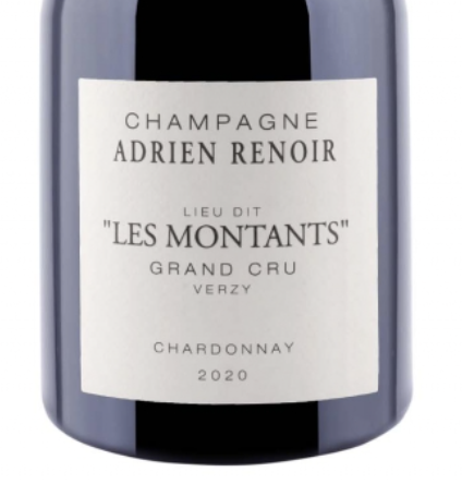Adrien Renoir Les Montants Verzy Grand Cru 2020 (RP93)