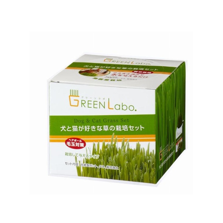 Green Labo 貓草種子套裝