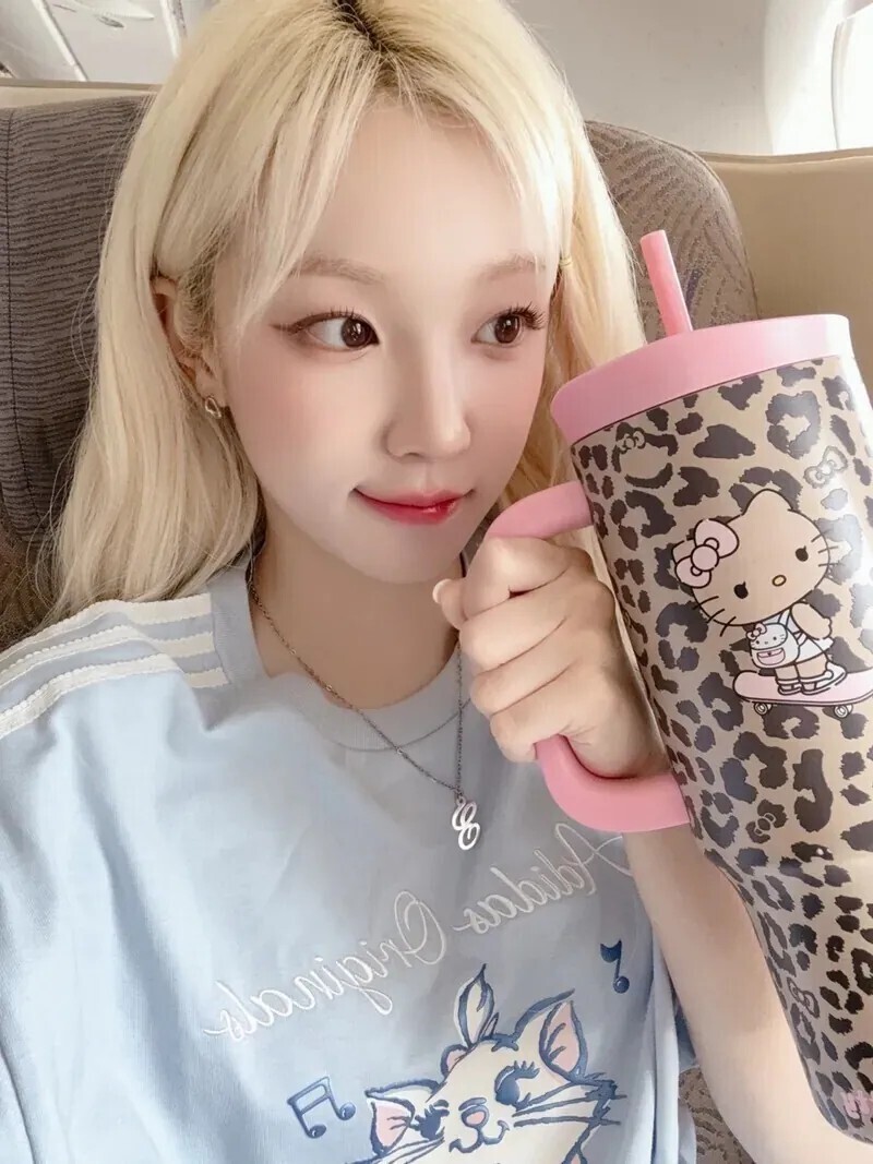 HELLO KITTY x TBH 聯名款 限量 巨無霸 冰壩杯 宋雨琦同款 四色 1200ml