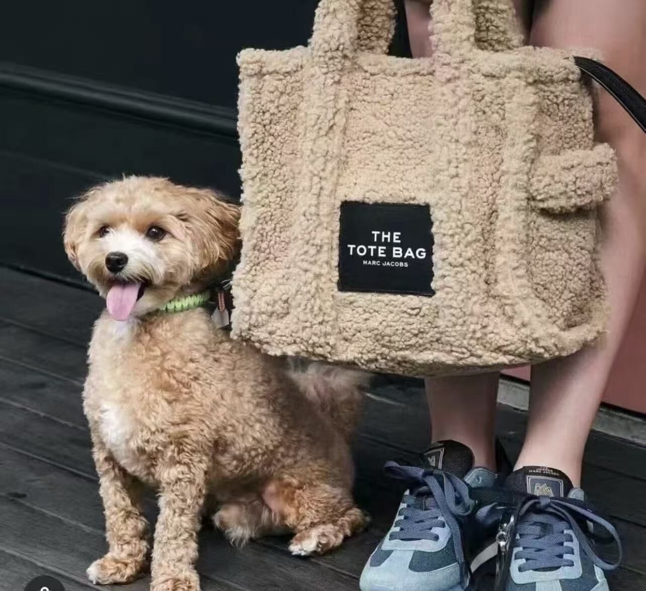 【直播】Marc Jacobs LL102230 泰迪毛茸茸小號托特包