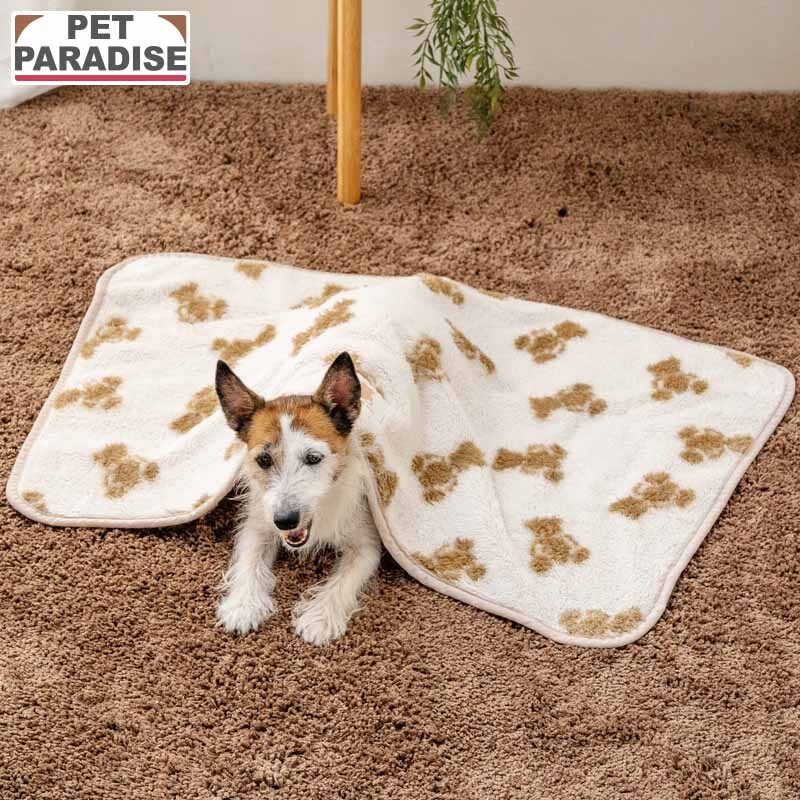 【Pet Paradise】Bear Boa Blanket (90×60cm) <633-41132>