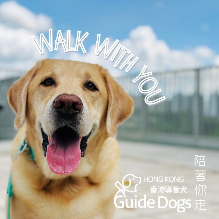 香港導盲犬磁石貼