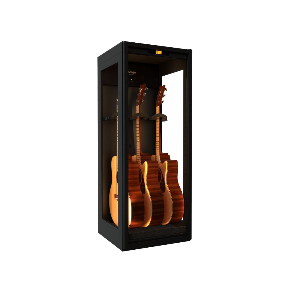 LENTHEM LENTHEM / DMI-305DT 防潮櫃 (電吉他/木吉他適用) — 三峽吉他 / Bass