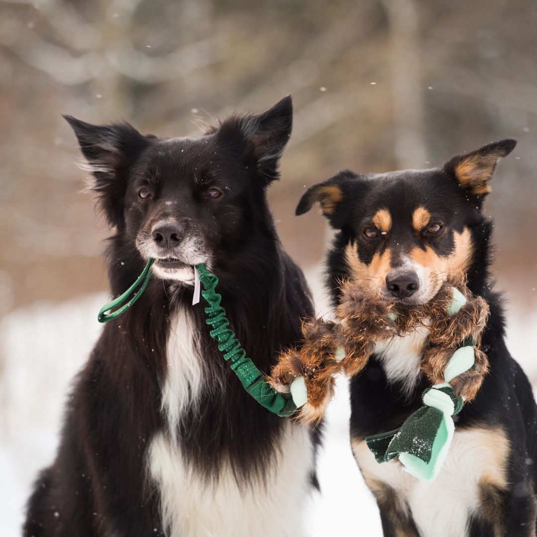瑞典Doggie-Zen｜彈力狐狸絨毛編繩玩具