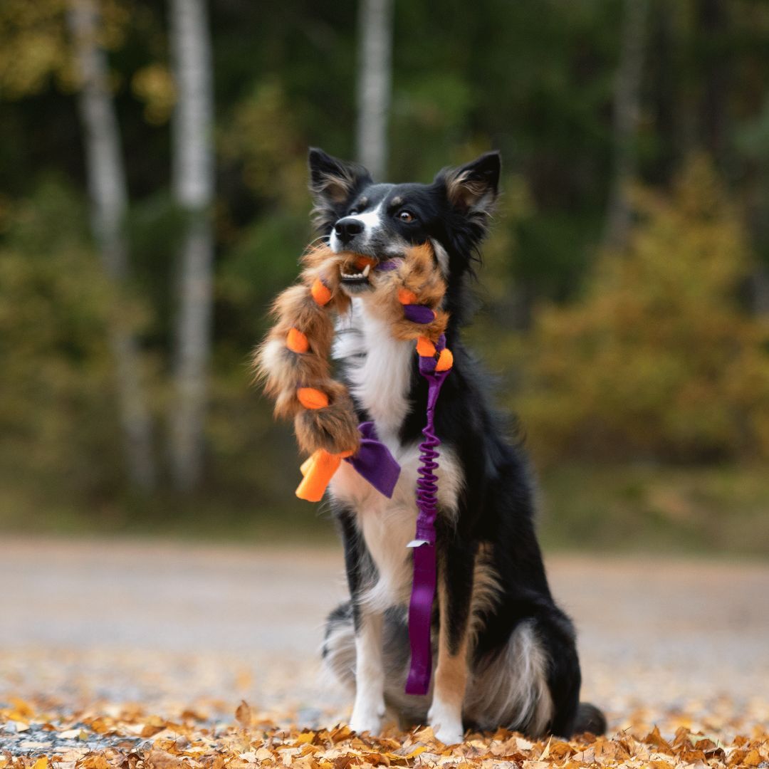 瑞典Doggie-Zen｜彈力狐狸絨毛編繩玩具