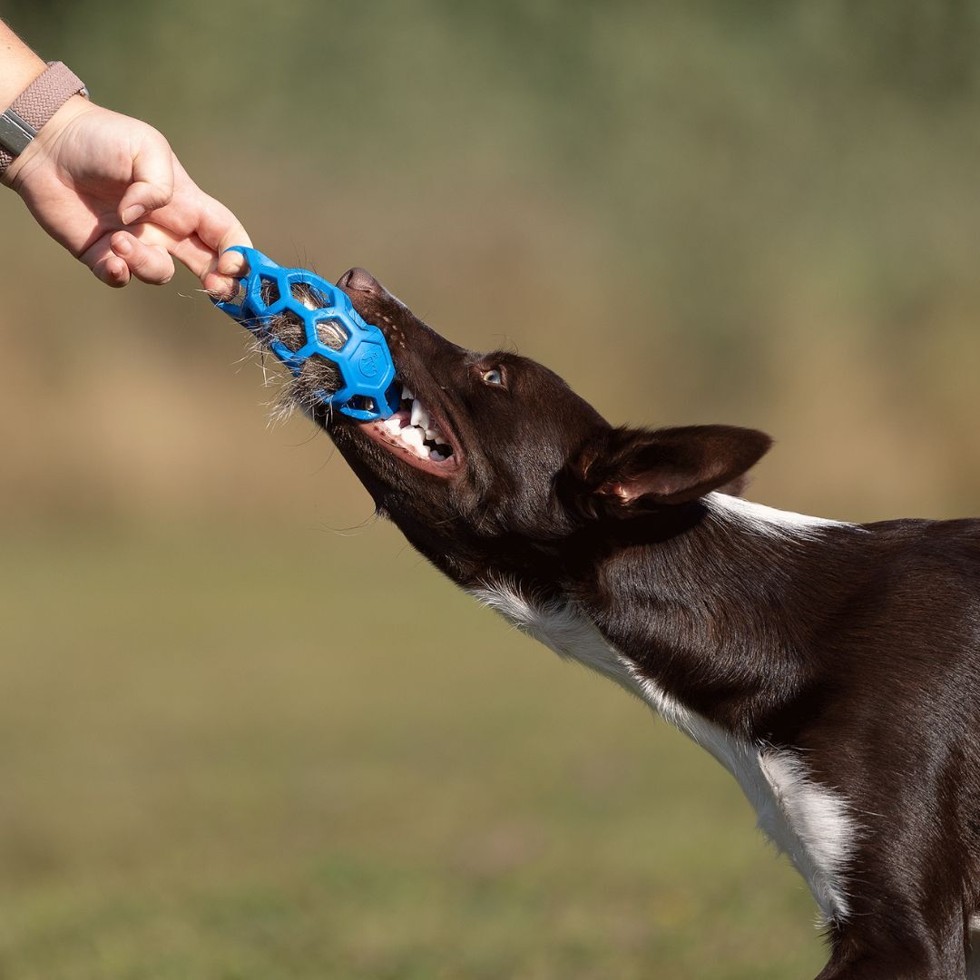 瑞典Doggie-Zen｜獾毛響紙玩具 (無附Hol-ee球)