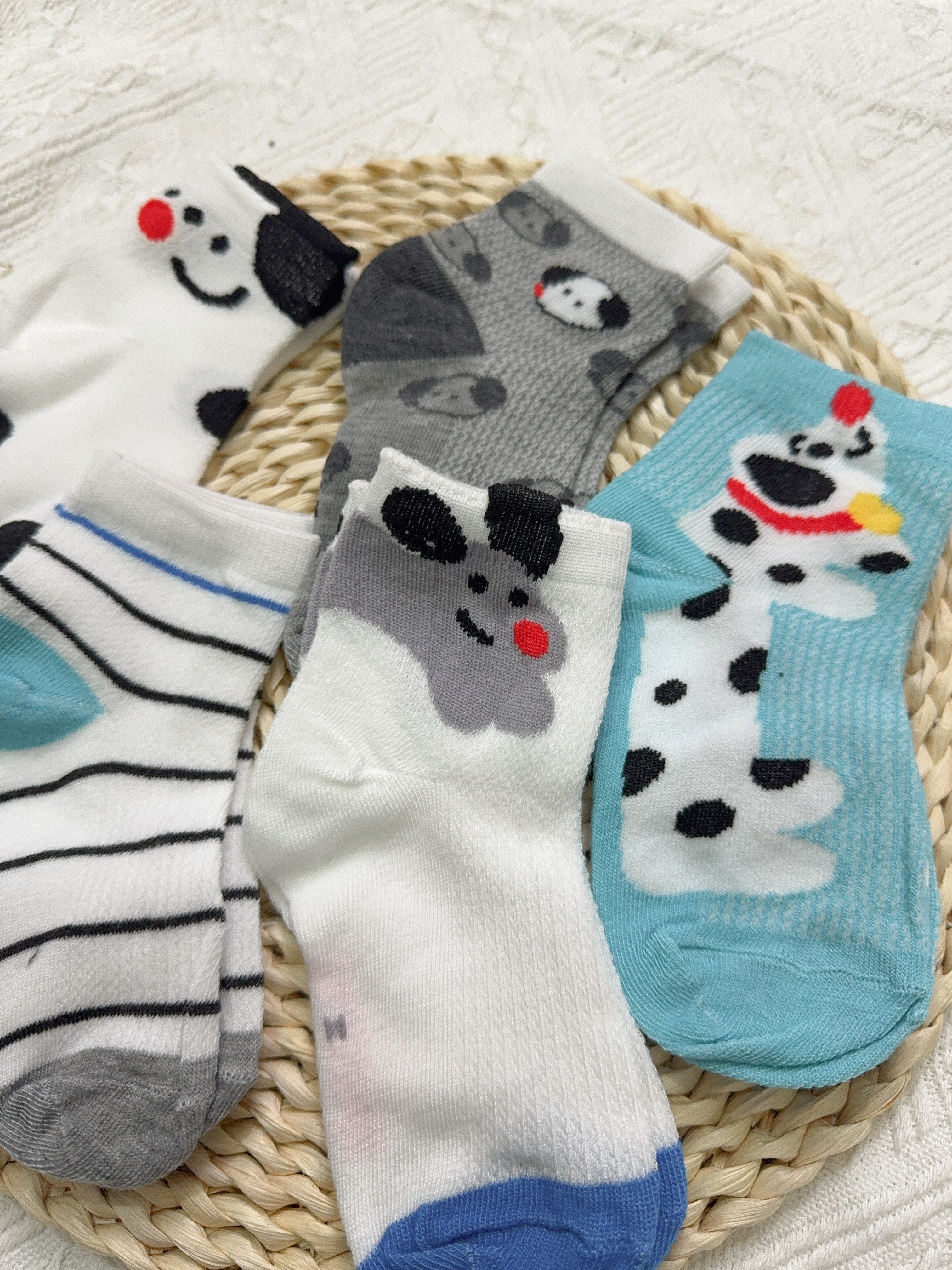 狗狗襪子5入s2518