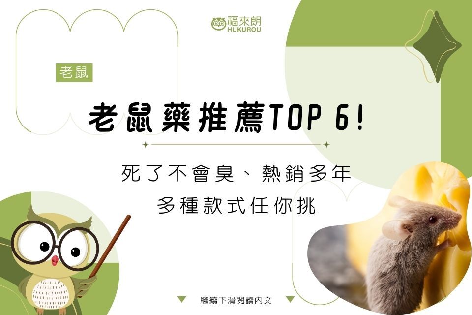 【福來朗】老鼠藥推薦TOP 4!死了不會臭、熱銷多年、多種款式任你挑