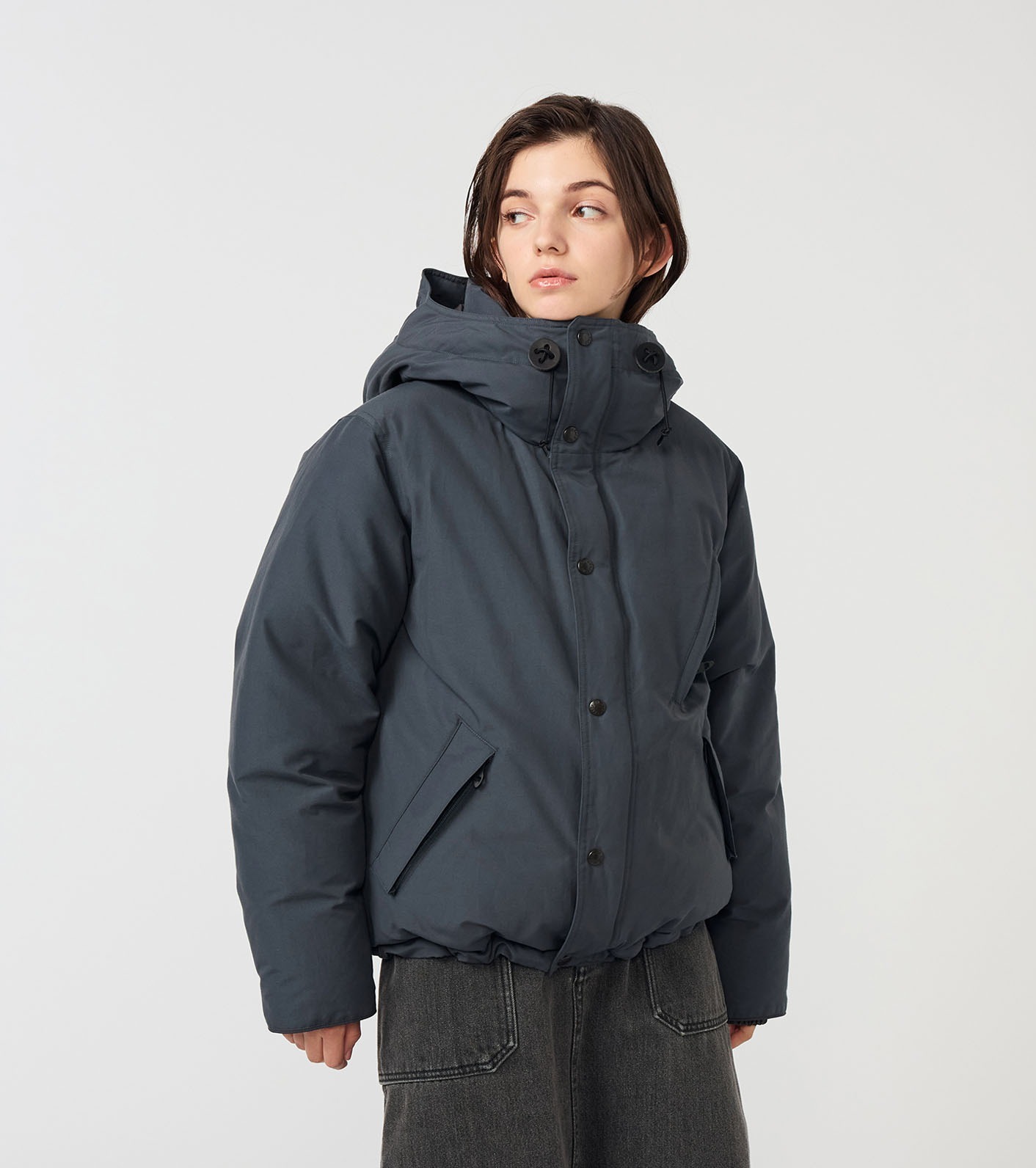 預購┃日本 TNF 紫標 Double Peak Short Down Parka 短版 羽絨 連帽 防風 外套