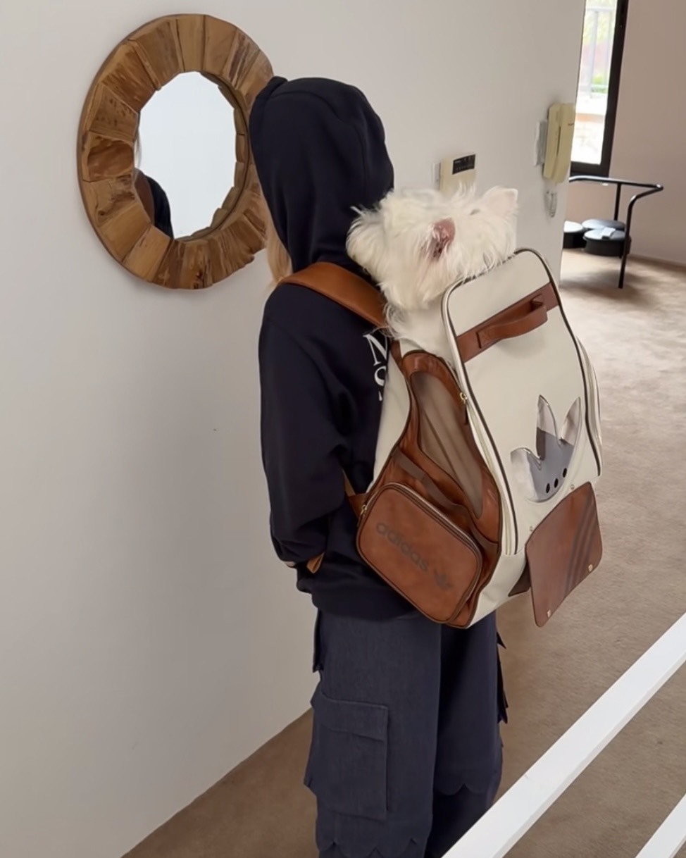 <快速出貨> Adidas OG 復古皮革後背包 寵物外出包