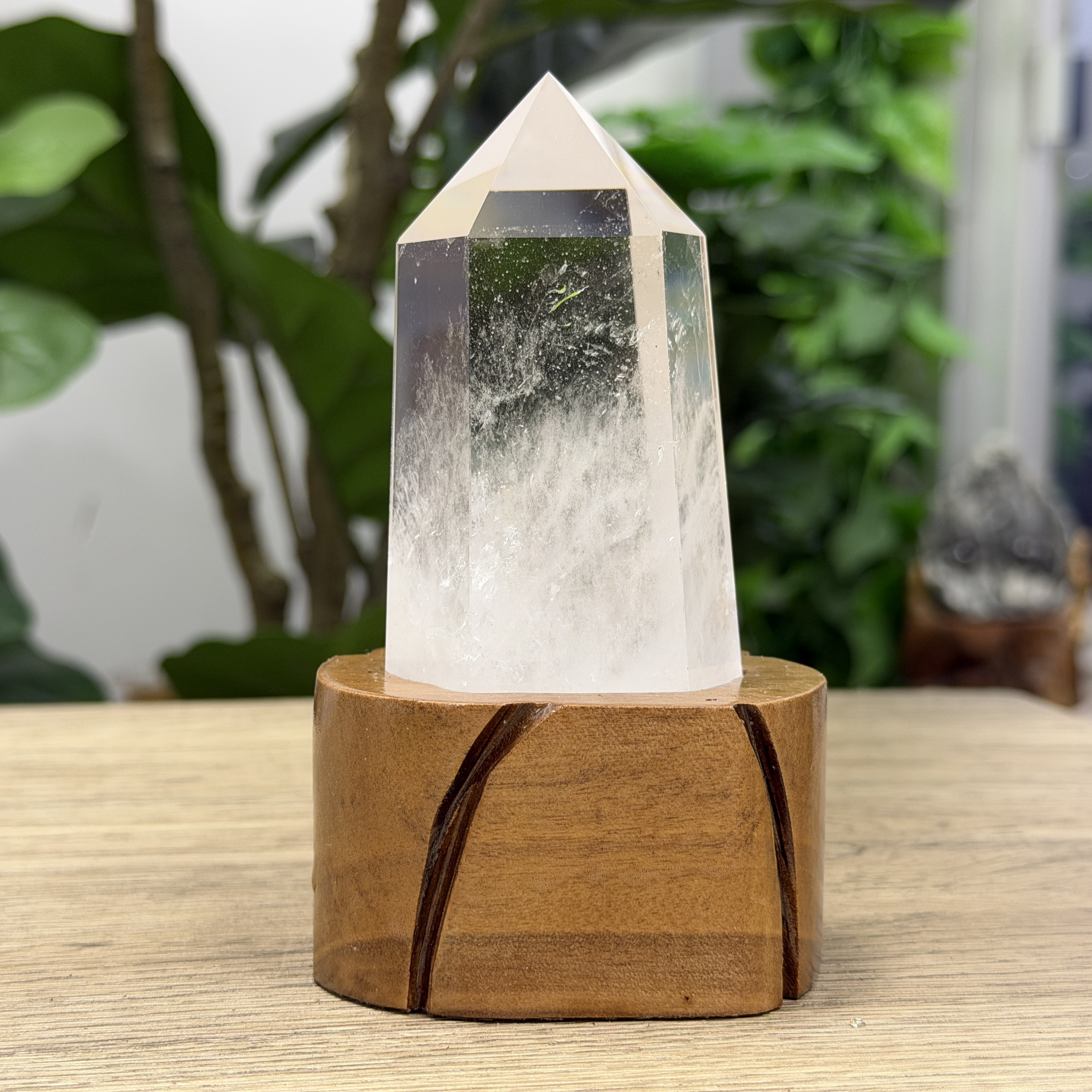 白晶柱 手圍15以上 WD2162