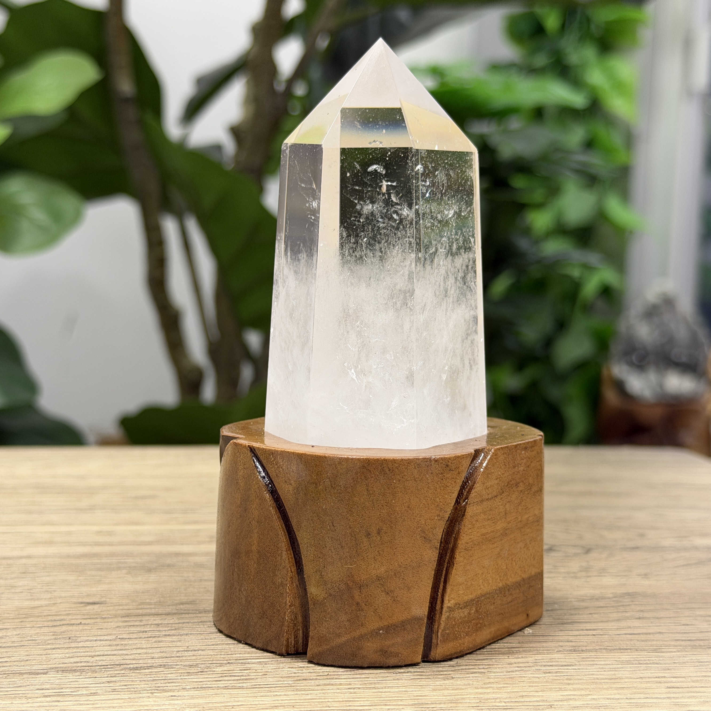 白晶柱 手圍15以上 WD2162