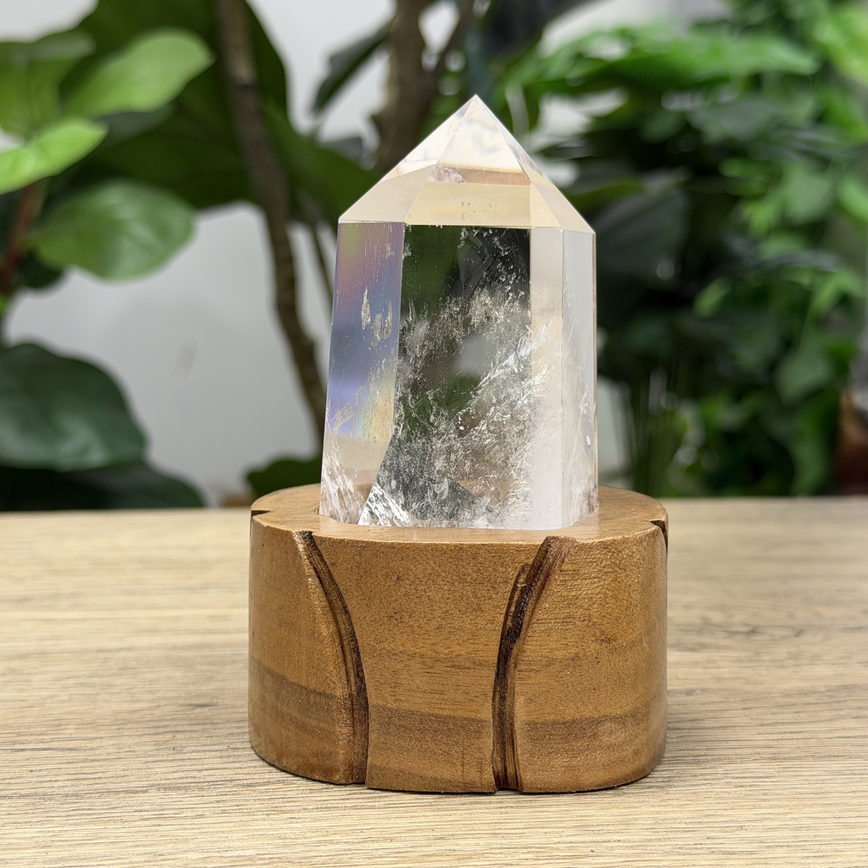 白晶柱 手圍15以上 WD2158