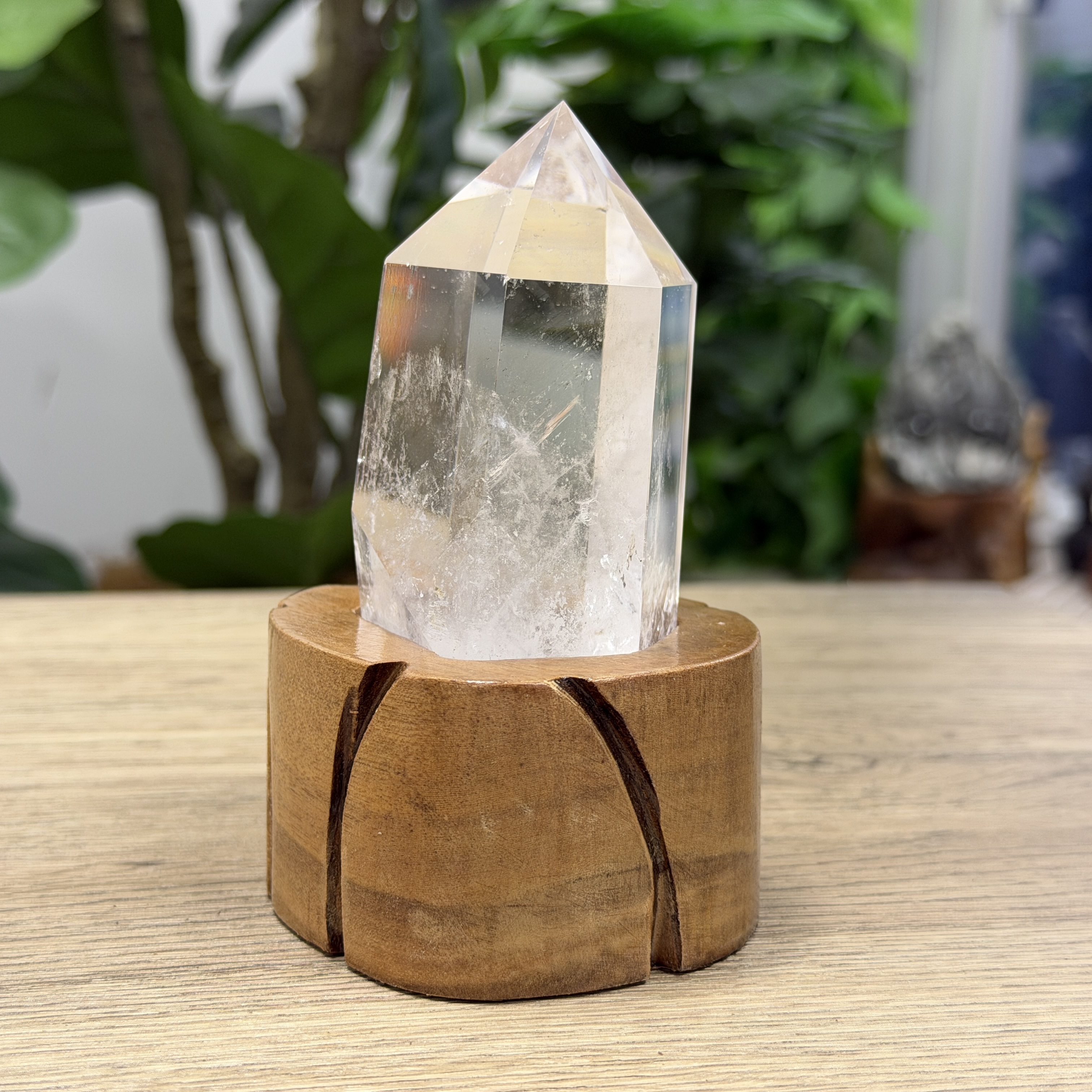 白晶柱 手圍15以上 WD2158