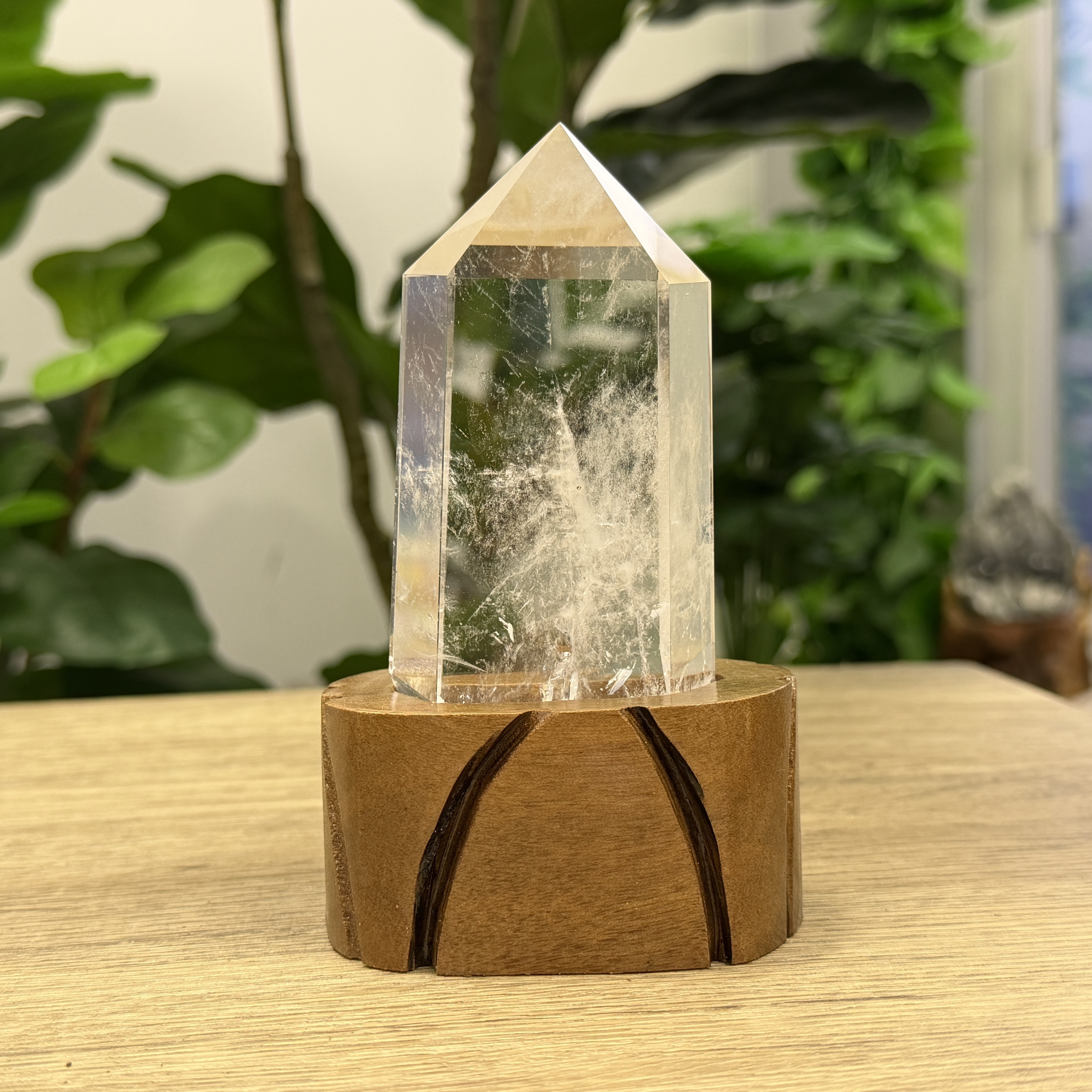 白晶柱 手圍15以上 WD2155