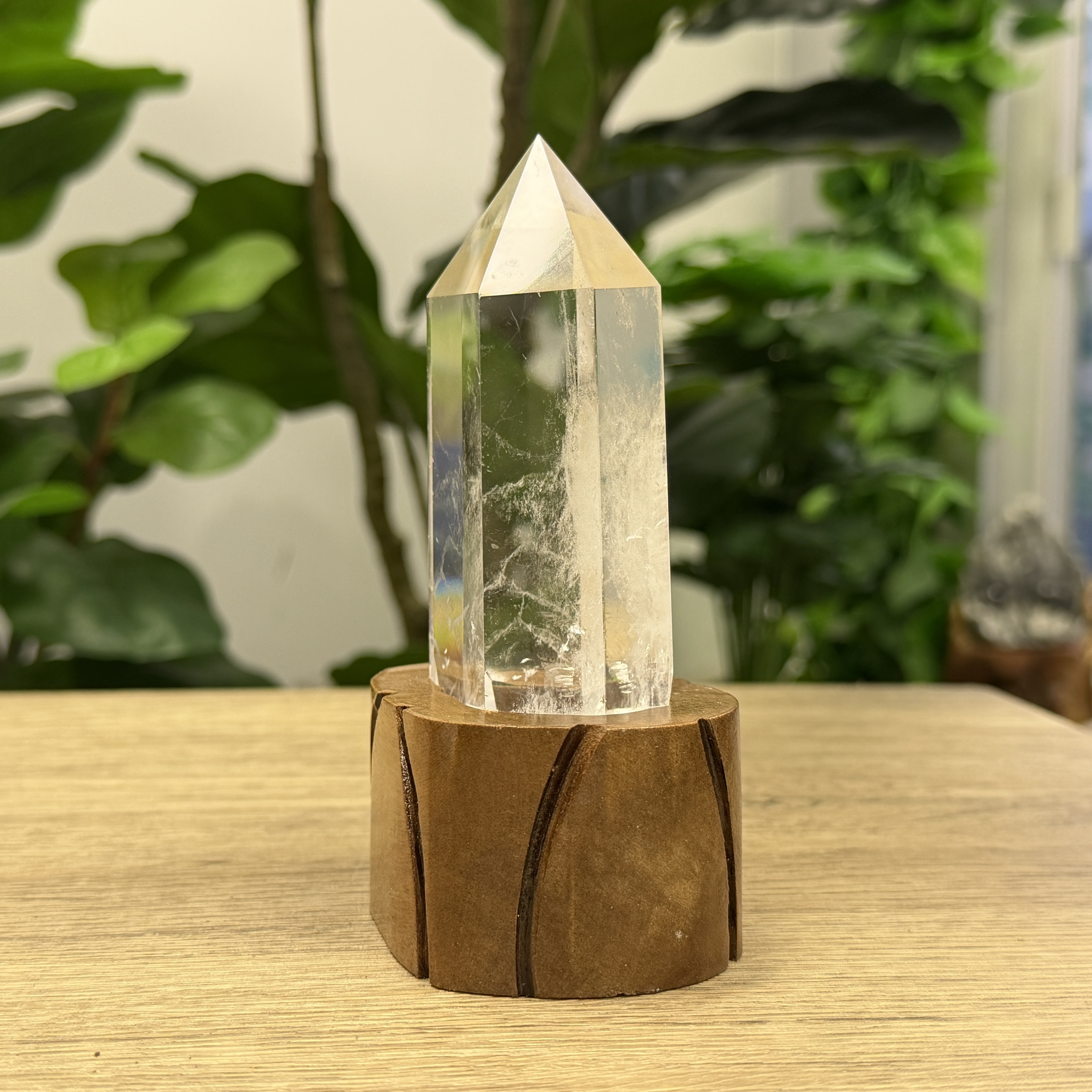 白晶柱 手圍15以上 WD2155