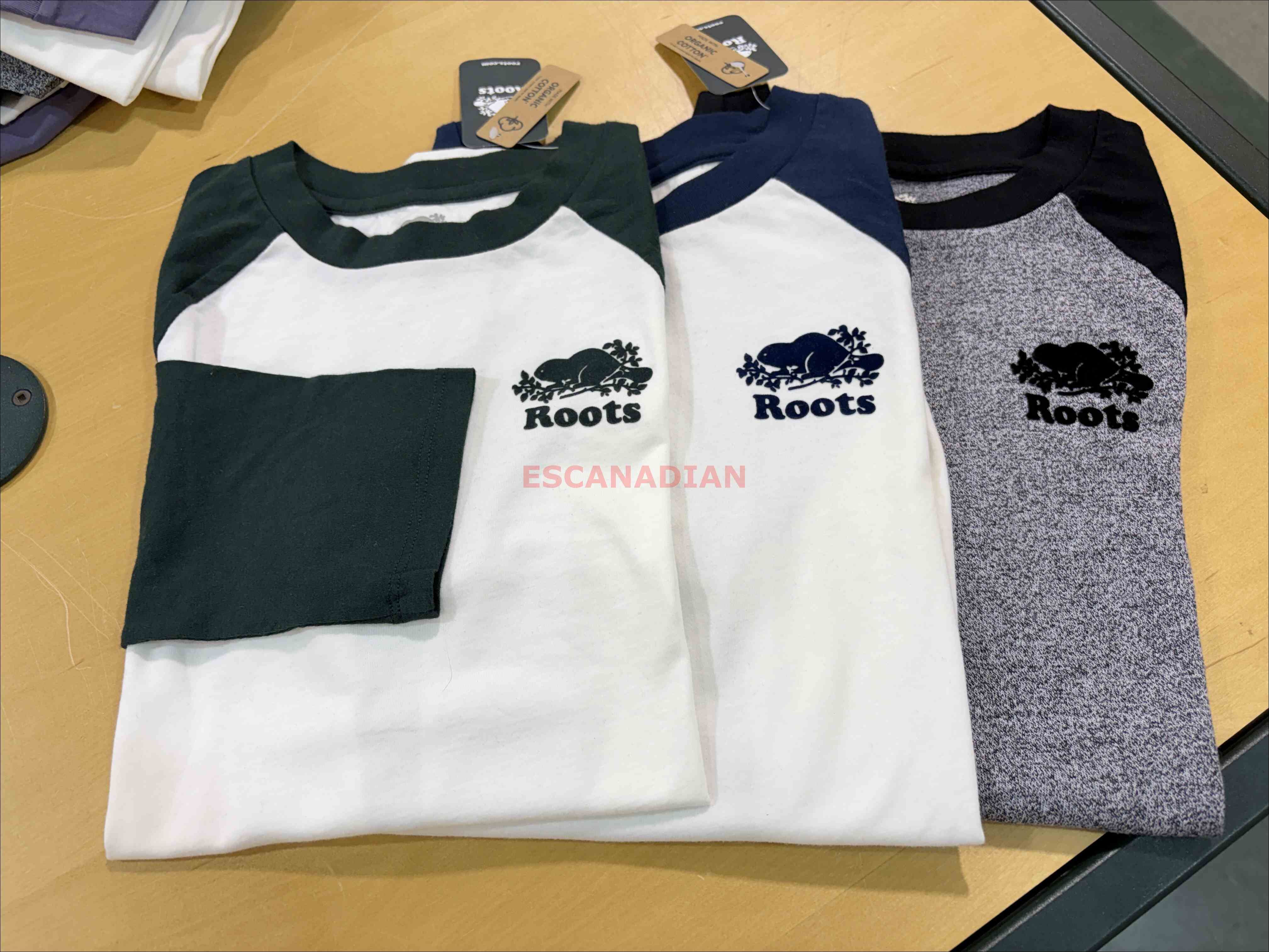 ROOTS 女大人 經典小海狸 合身版 棒球袖 7分袖TEE (3色)