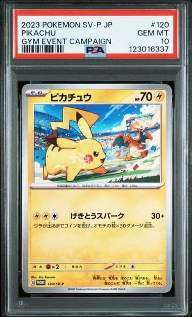 [PSA 10,Cert Number: 123016337, 120/SV-P] 2023 POKEMON JAPANESE SV-P PROMO #120 PIKACHU GYM EVENT CAMPAIGN