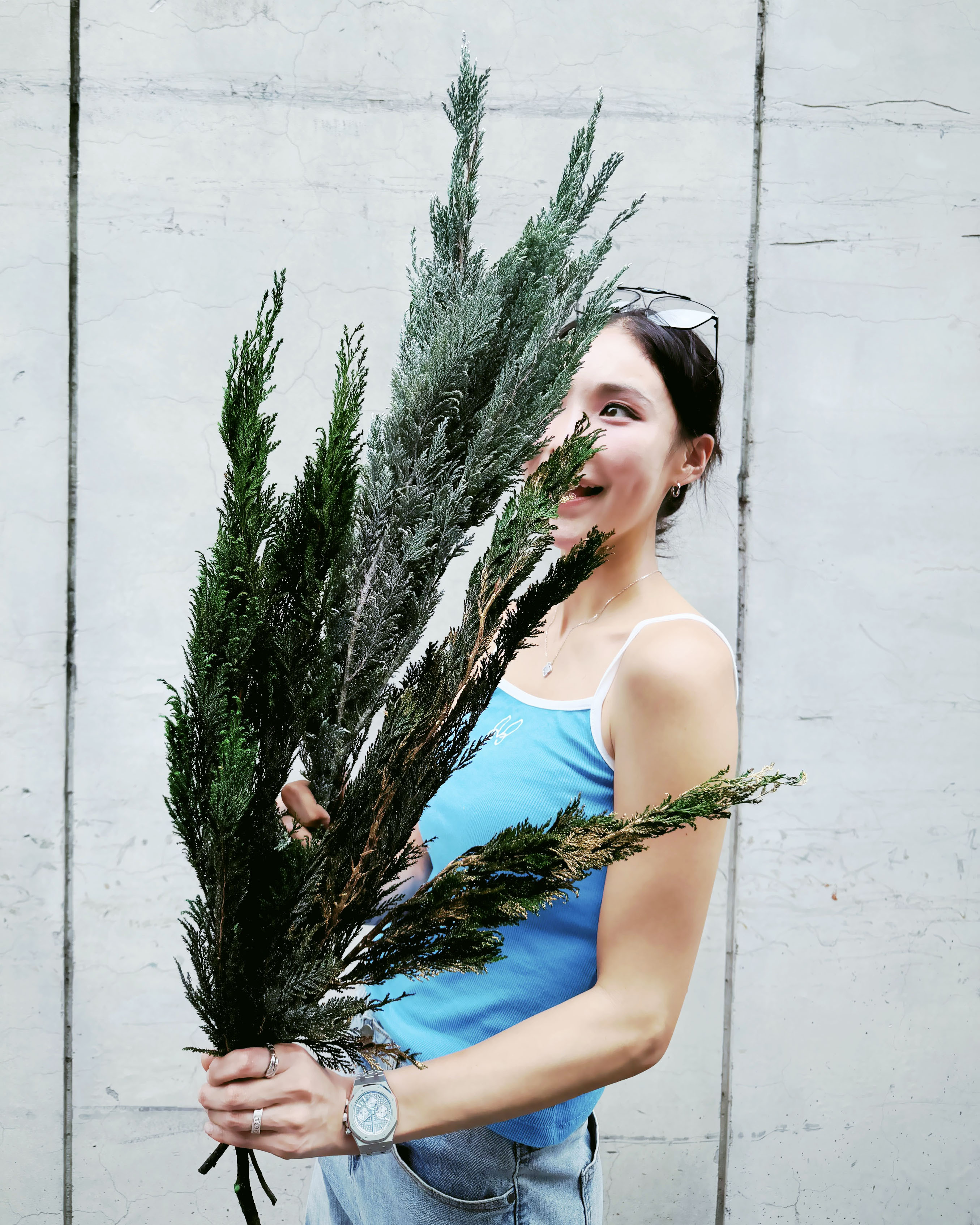 永生松柏（日本）