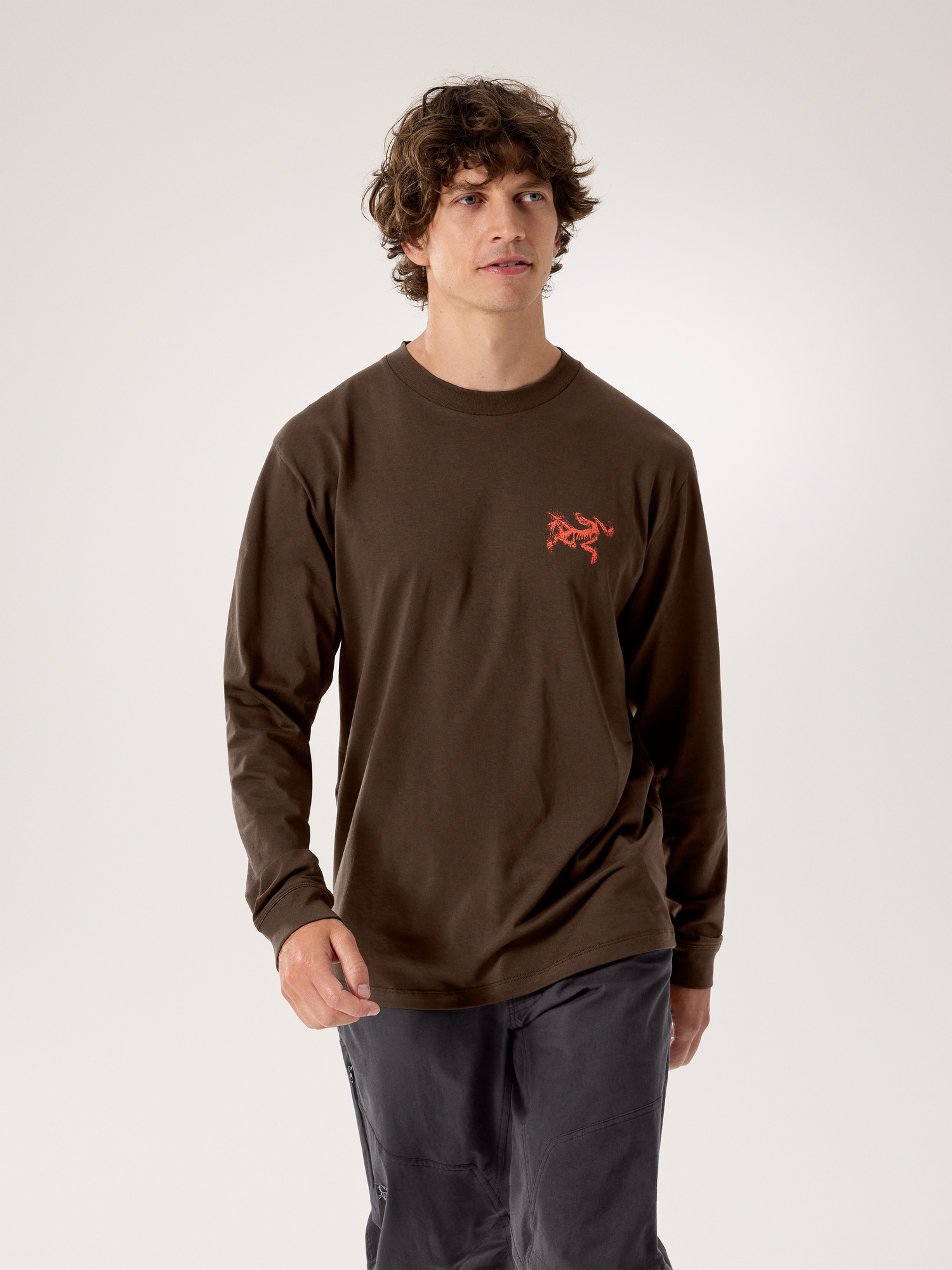 Arcteryx Kragg SL Cotton Bird Tile LS Carob
