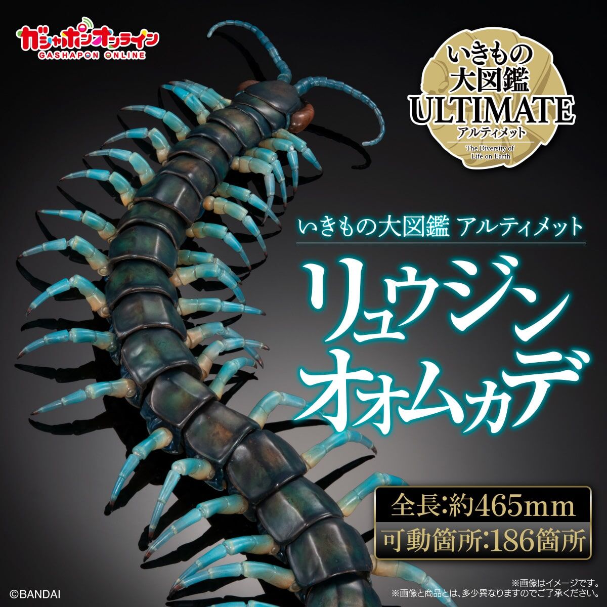 [魂SHOP限定GOL] 生物大圖鑑 青龍蜈蚣 [GOL]THE DIVERSITY OF LIFE ON EARTH PREMIUM SCOLOPENDRA ALCYONA