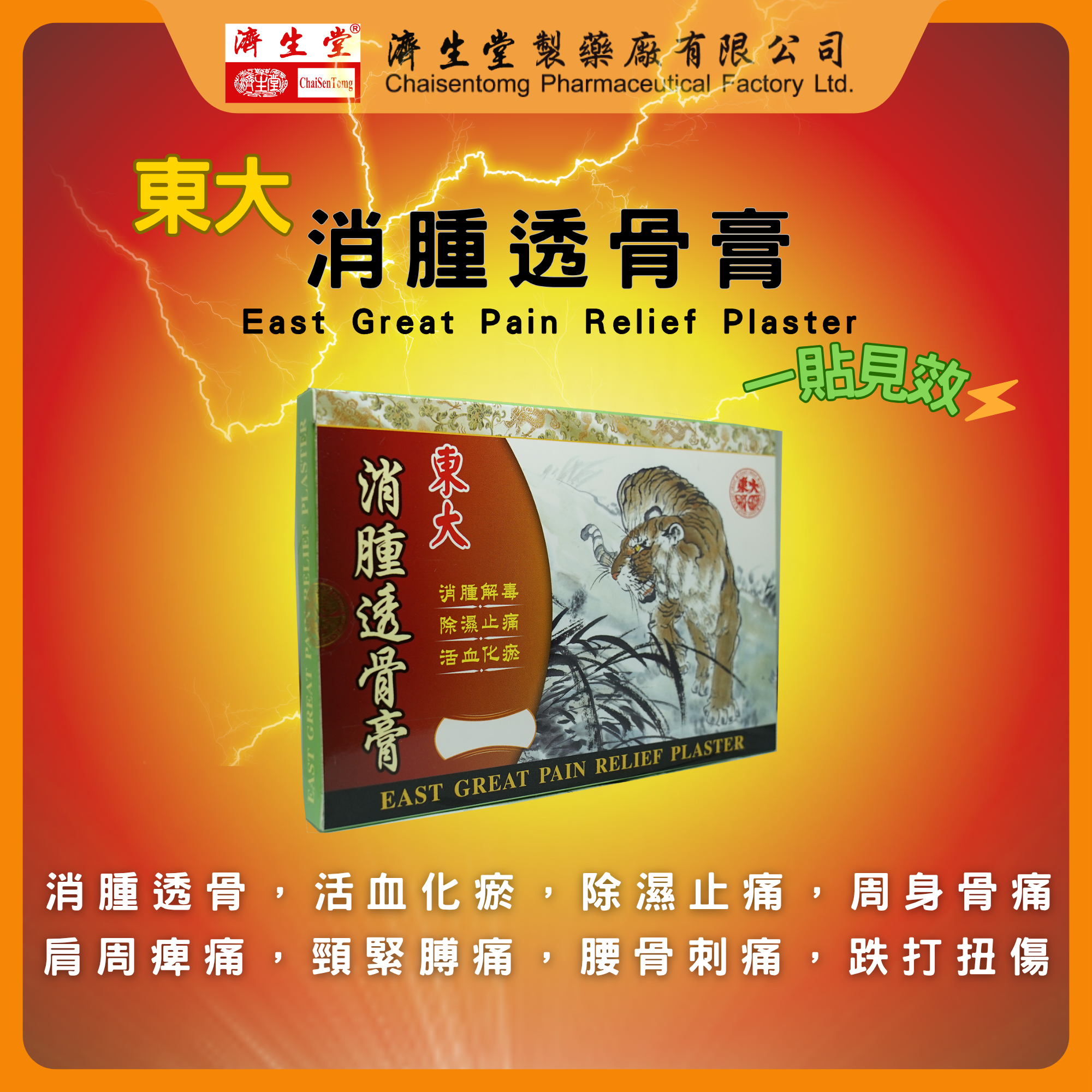 EAST GREAT PAIN RELIEF PLASTER